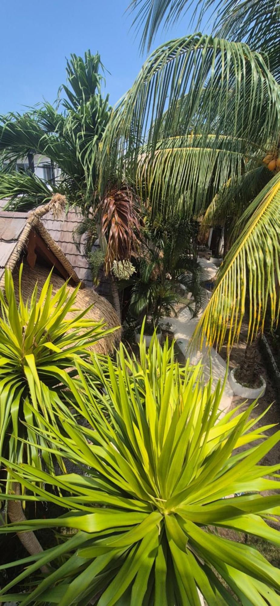 Tricky Trees Sunset Bungalows Gili Air Exterior foto